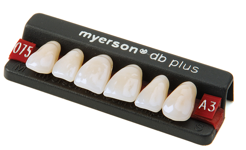 teeth-myerson-tooth